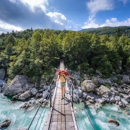 Apartma Petra 公寓