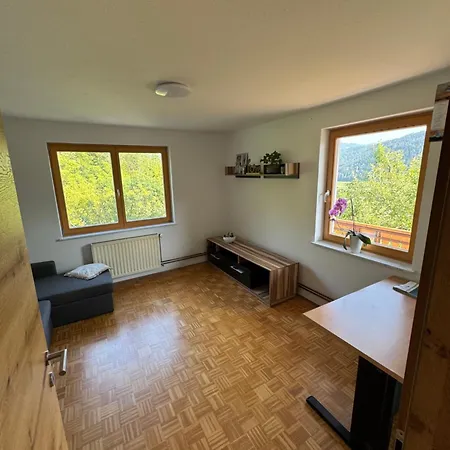 Apartma Petra * Selca