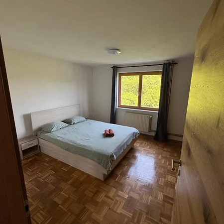 公寓 Apartma Petra Selca