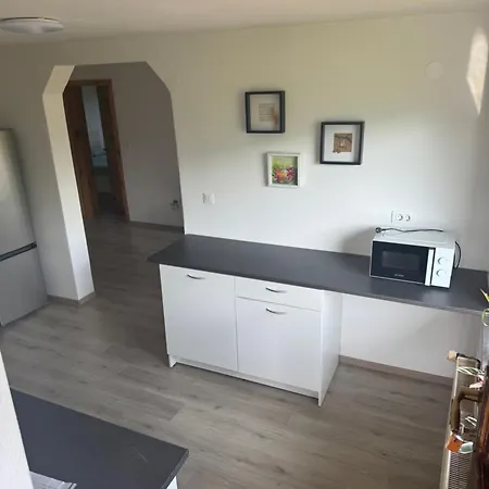 公寓 Apartma Petra *