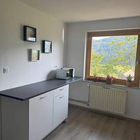 公寓 Apartma Petra Selca