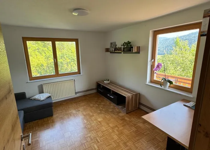 Apartma Petra * Selca